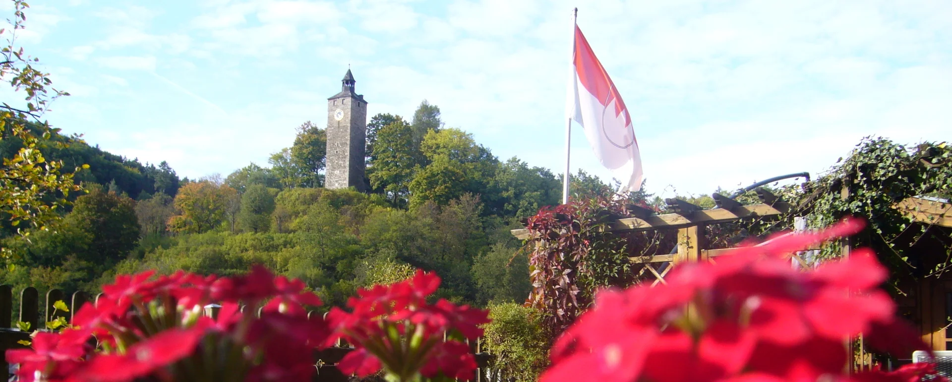 Bannerbild