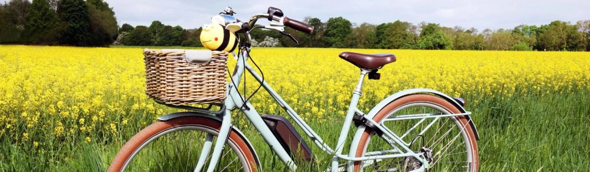 Ein Fahrrad steht im Rapsfeld