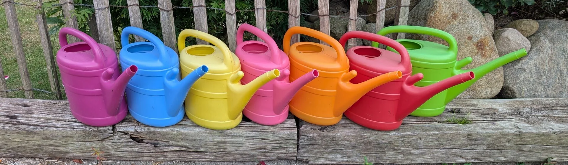 Sieben bunte Gießkannen stehen neben einander