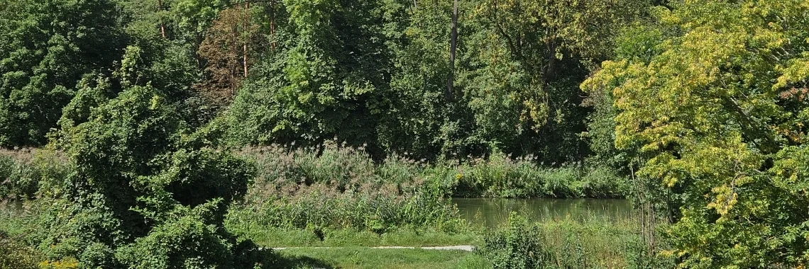 Blick aus der Praxis auf die Amperauen