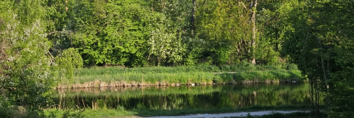 Bannerbild