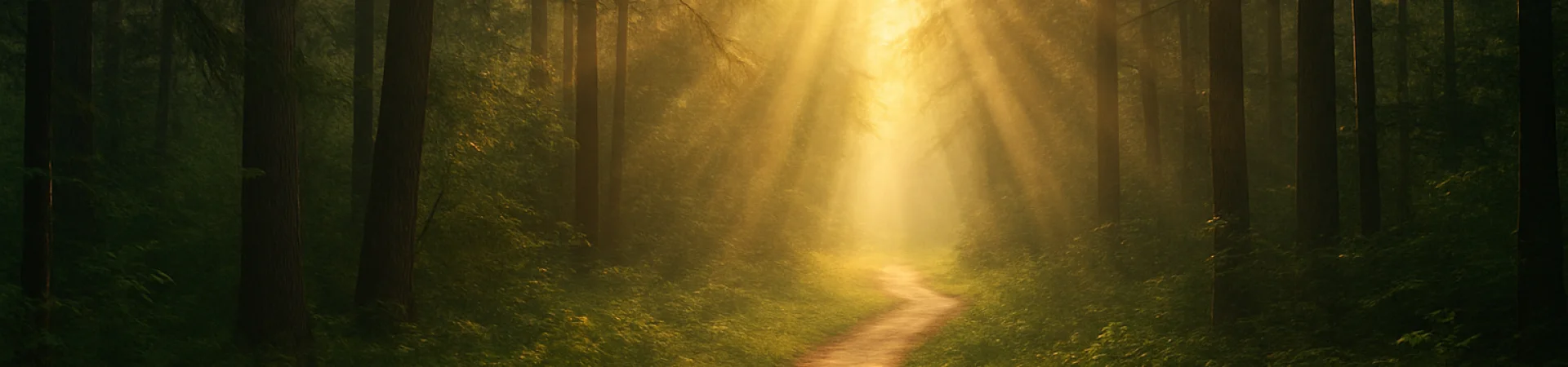Bannerbild