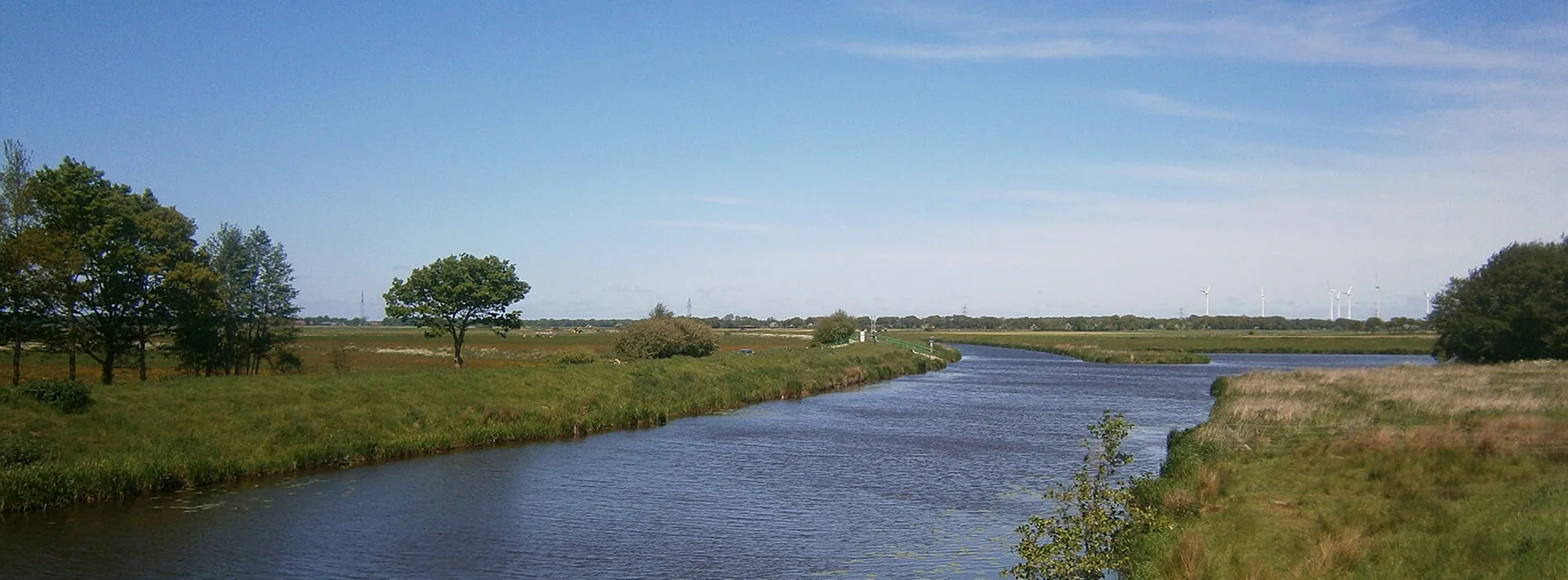 Bannerbild