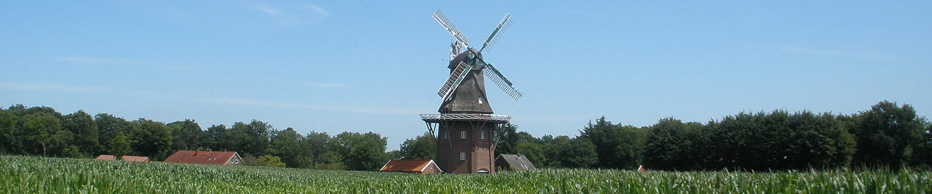 Bannerbild