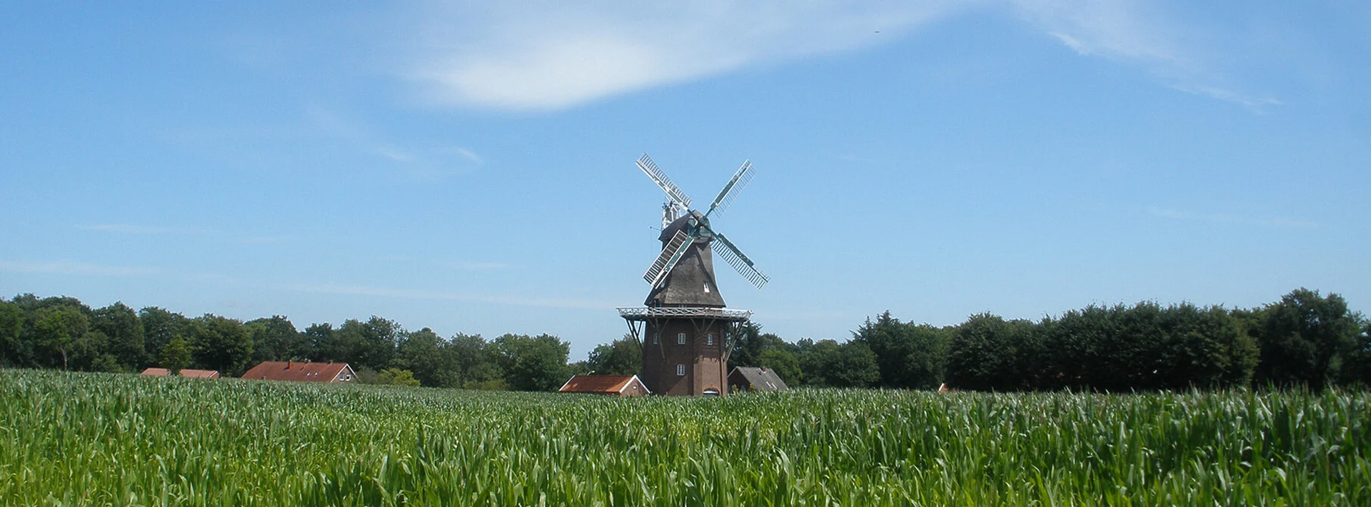 Bannerbild