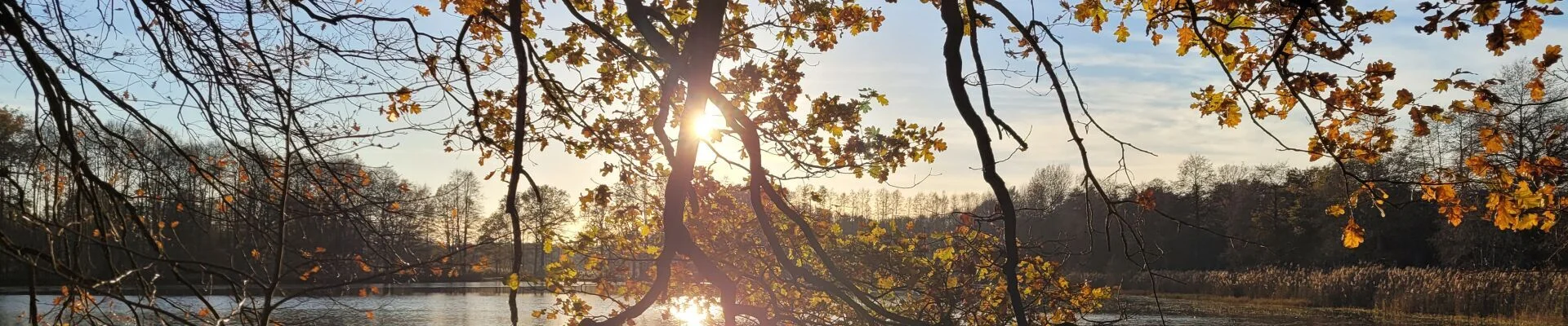 Bannerbild Weißig