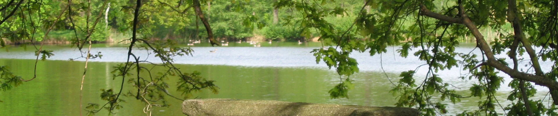 Bannerbild Weißig 2