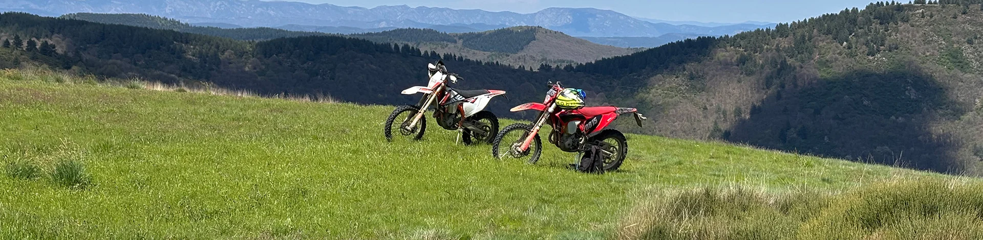 zwei Motorräder auf einer Wiese