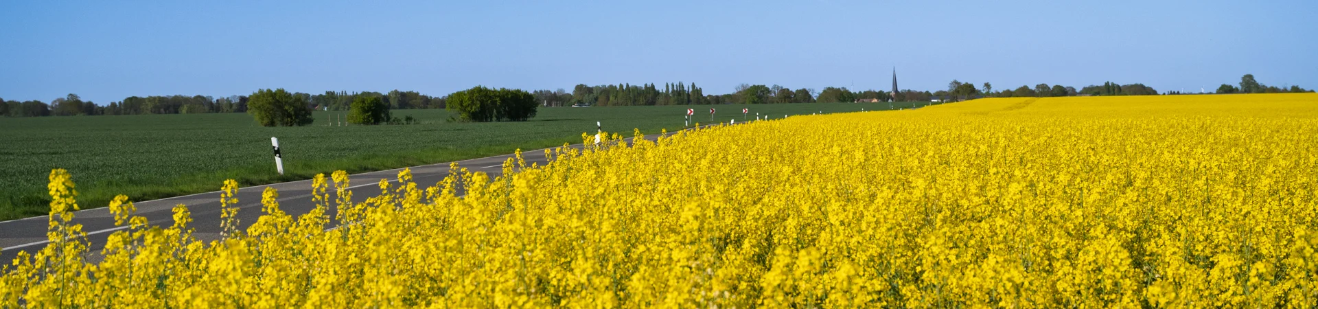 Frühjahr