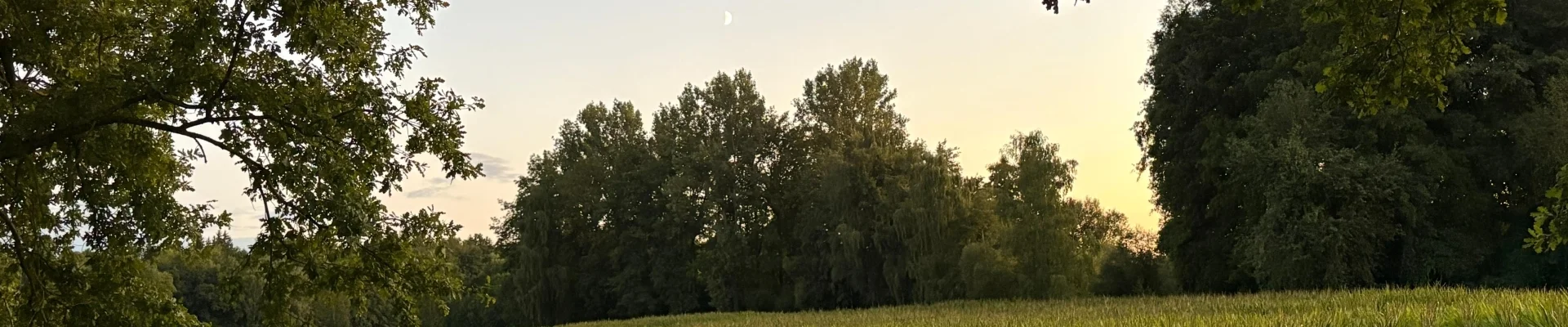 Bannerbild