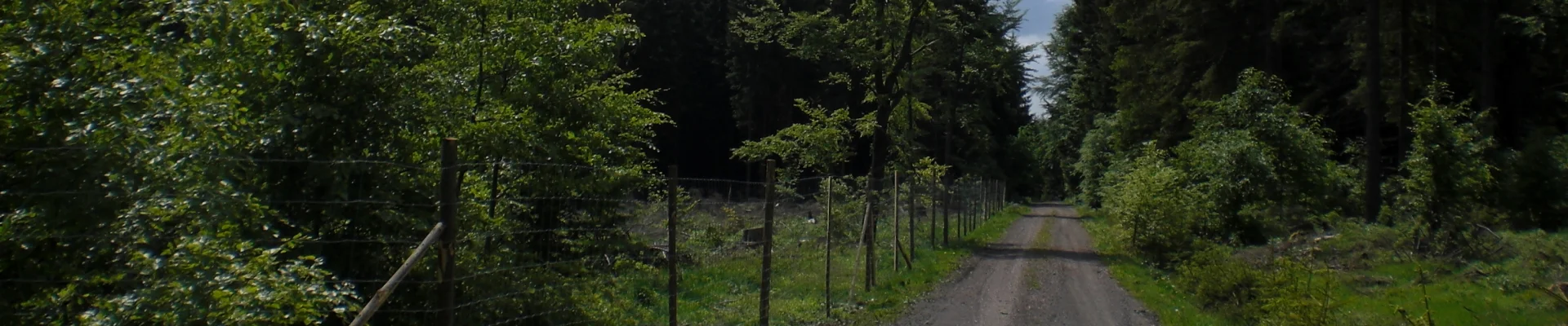 Bannerbild