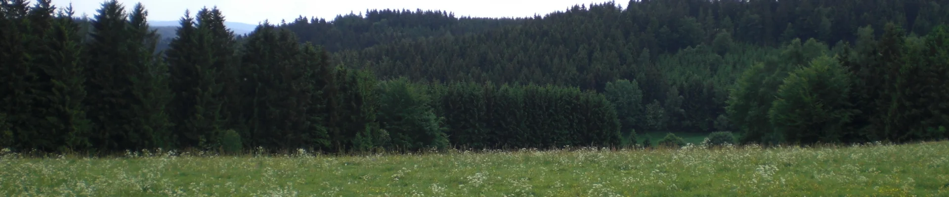 Bannerbild