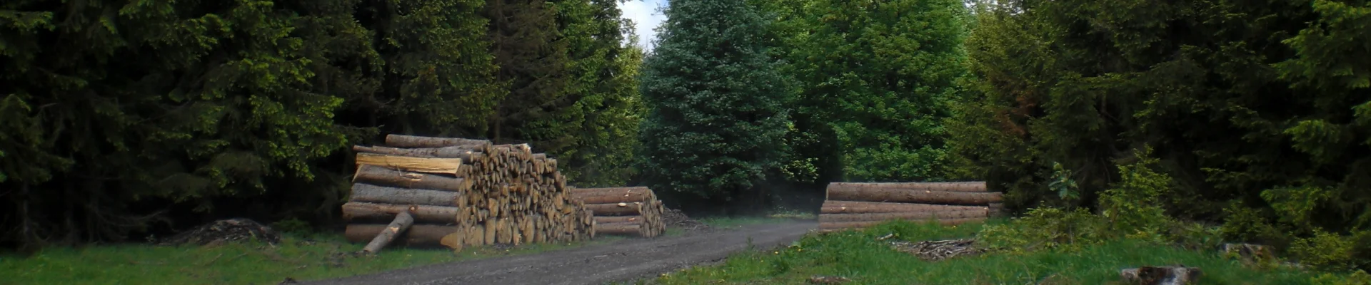 Bannerbild