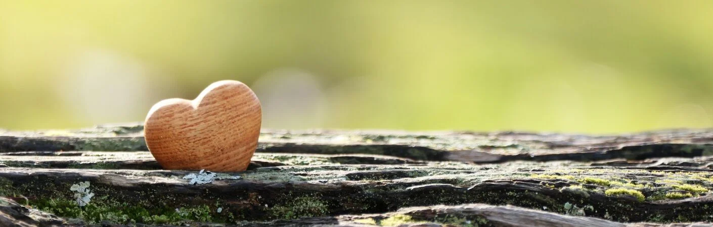 Bannerbild