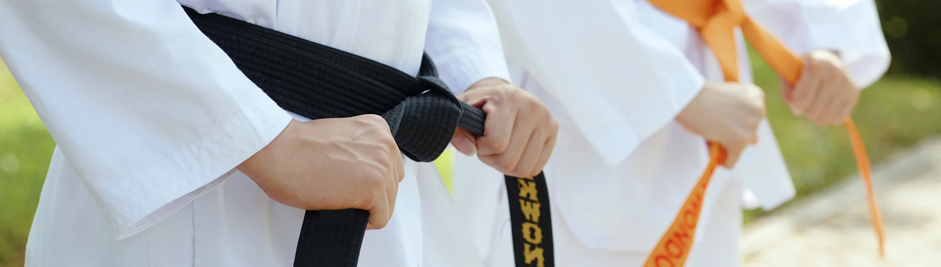 Taekwondo