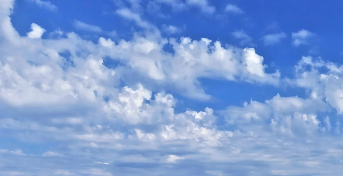 Bannerbild