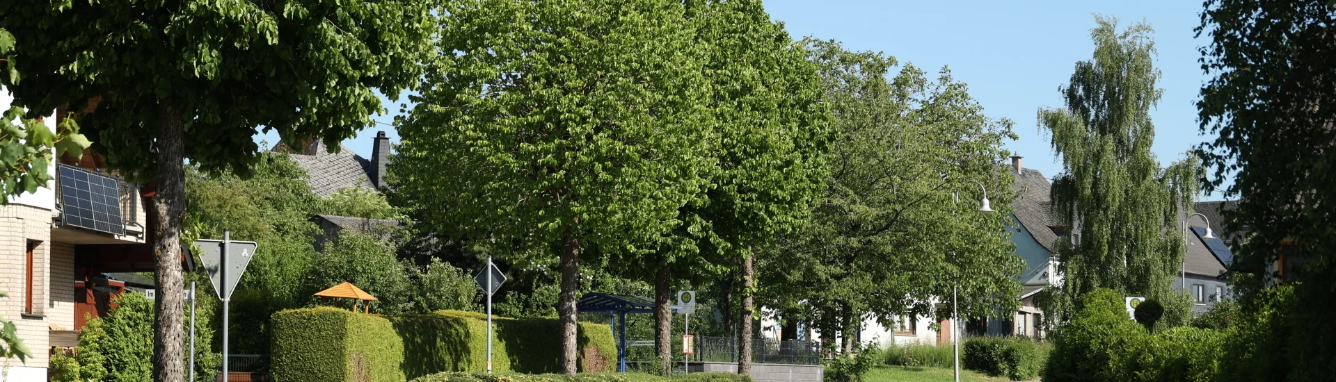 Bannerbild
