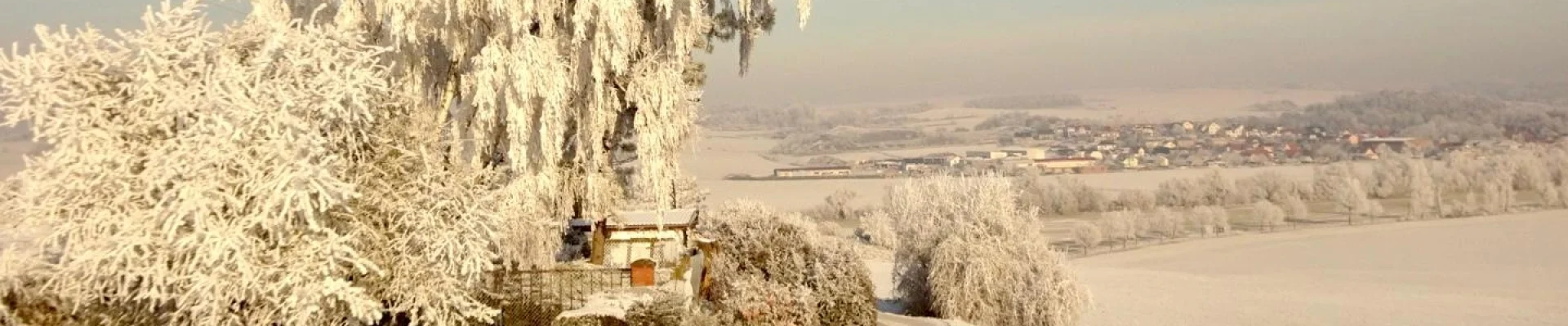 Bannerbild