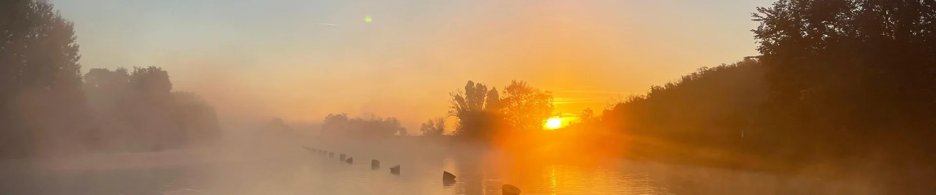 Bannerbild