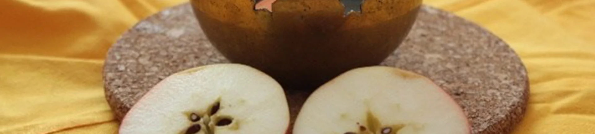Bannerbild