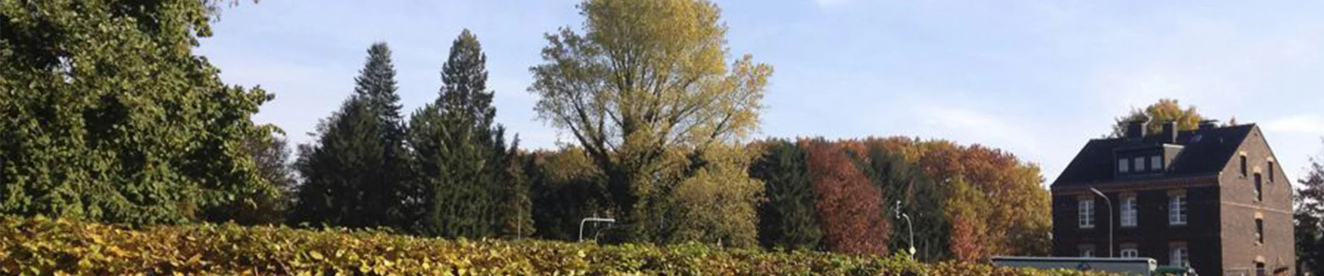 Bannerbild