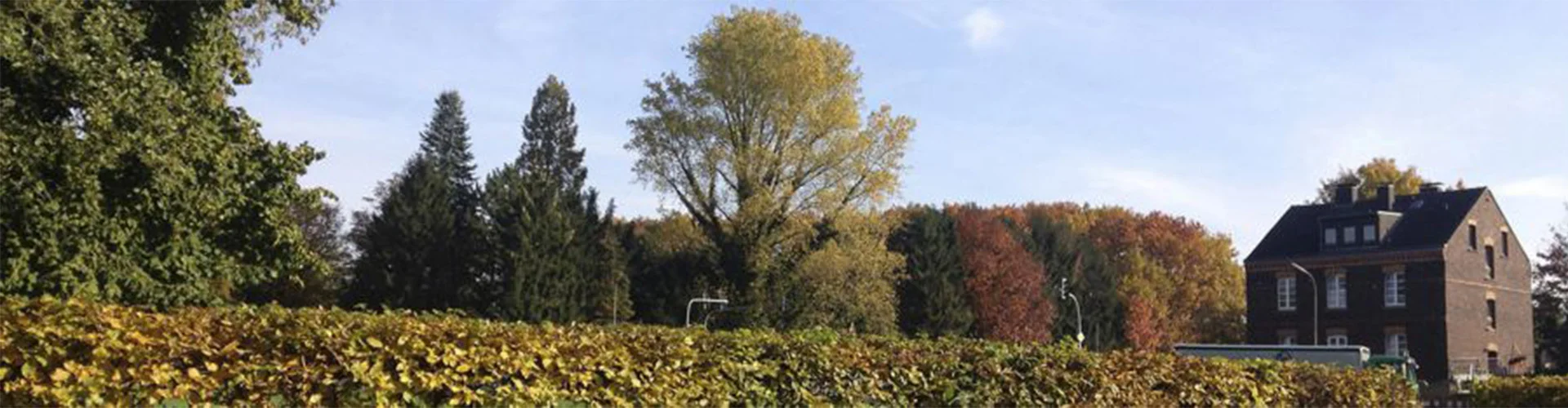 Bannerbild