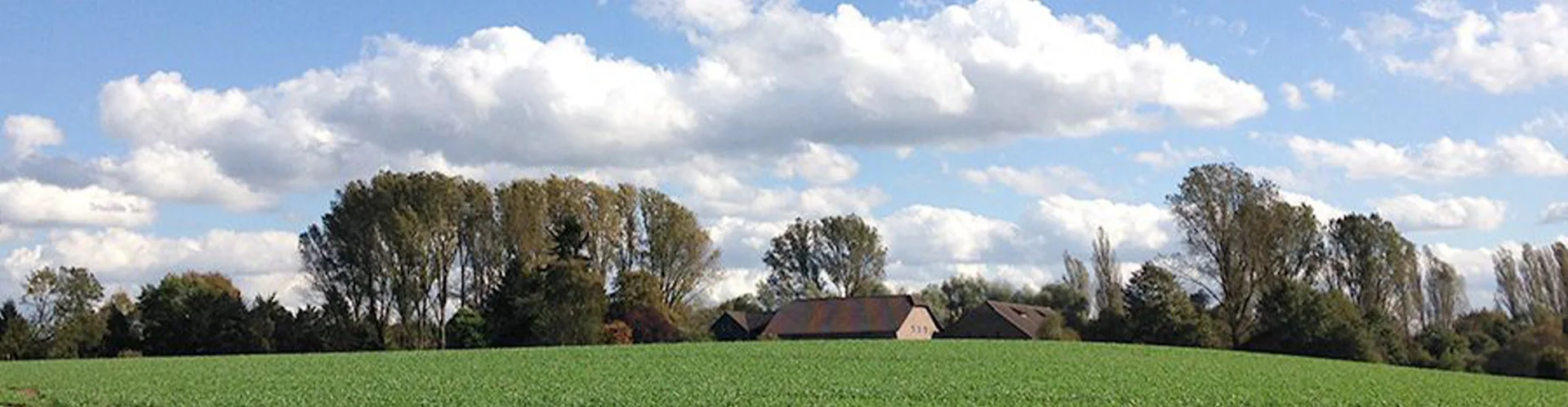 Bannerbild