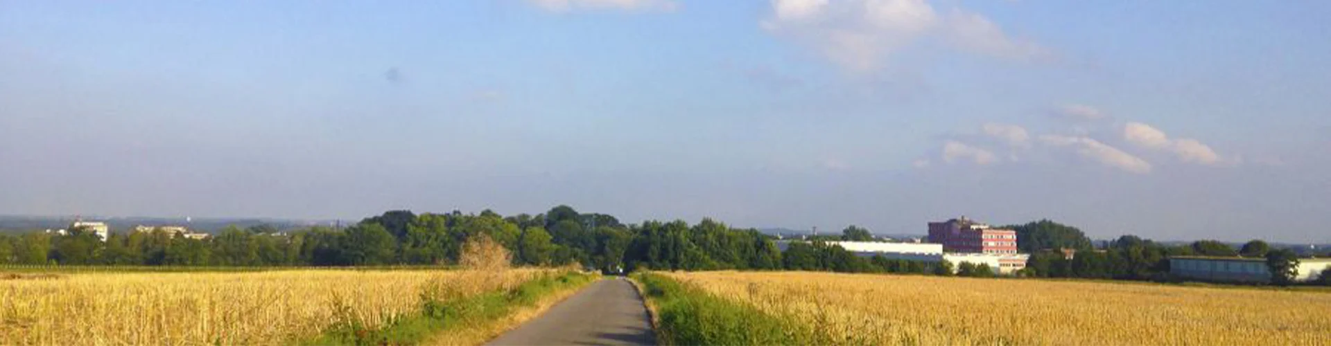 Bannerbild