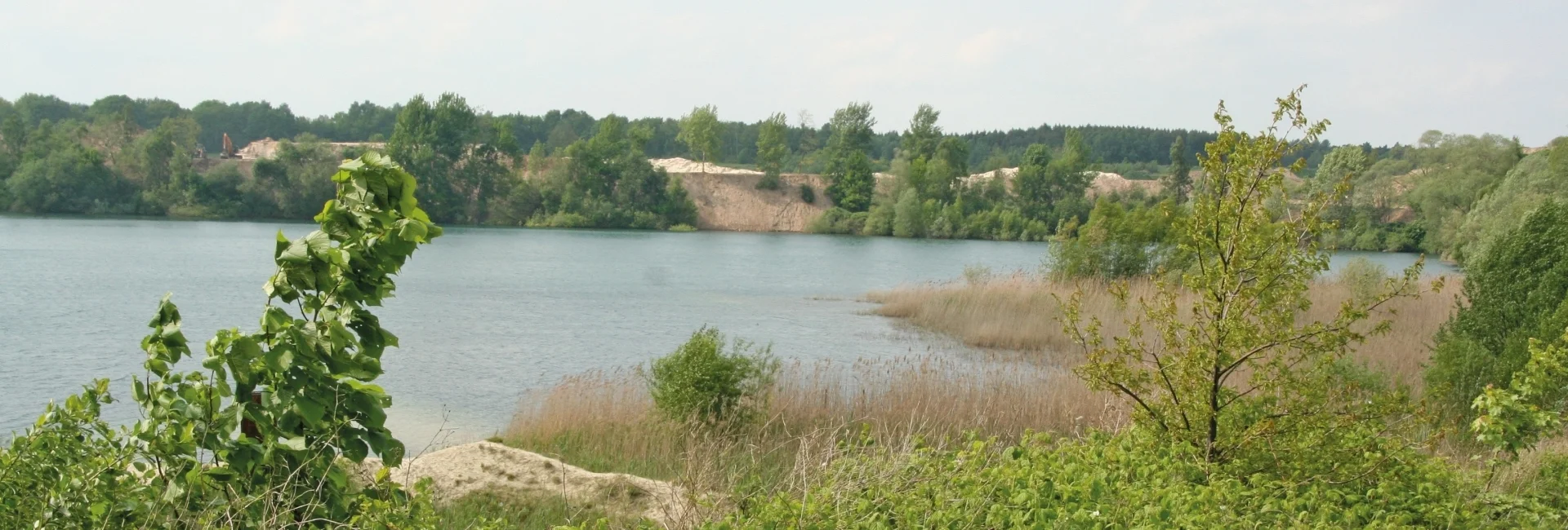 Bannerbild