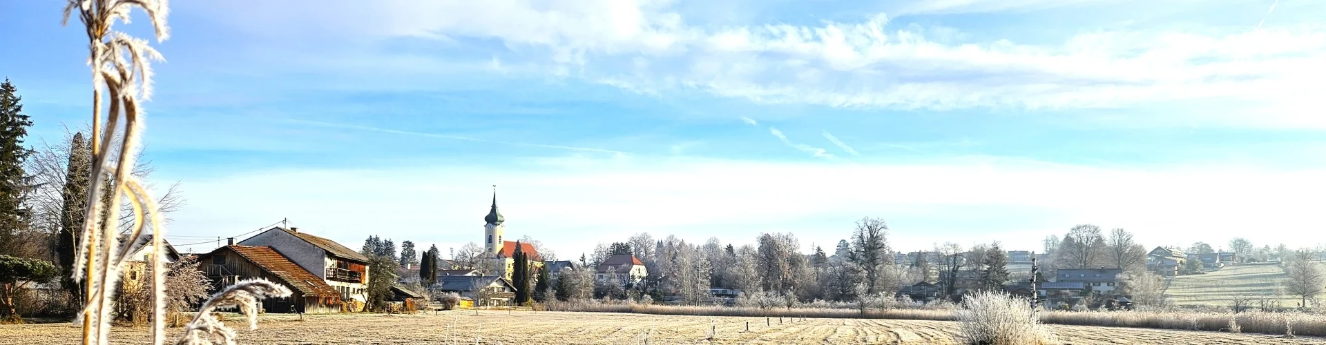 Bannerbild