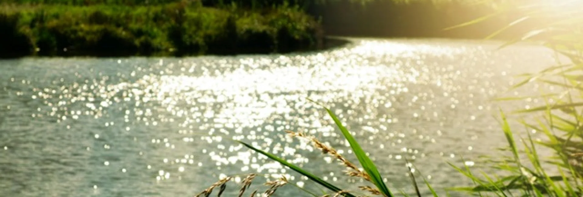 Bannerbild