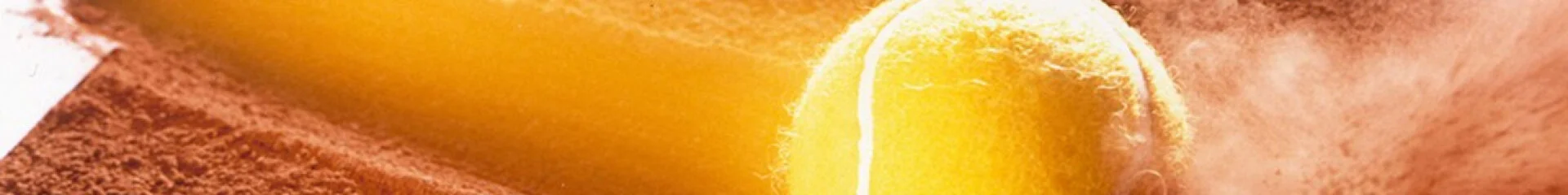 Bannerbild