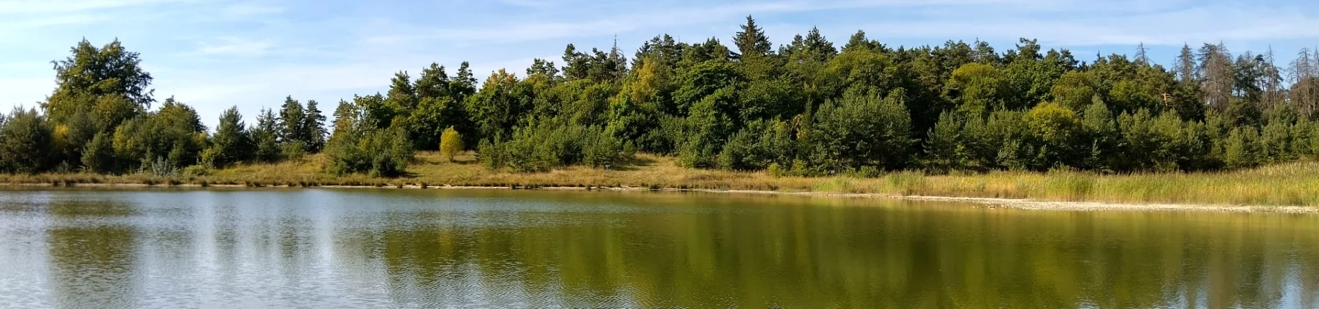 Bannerbild