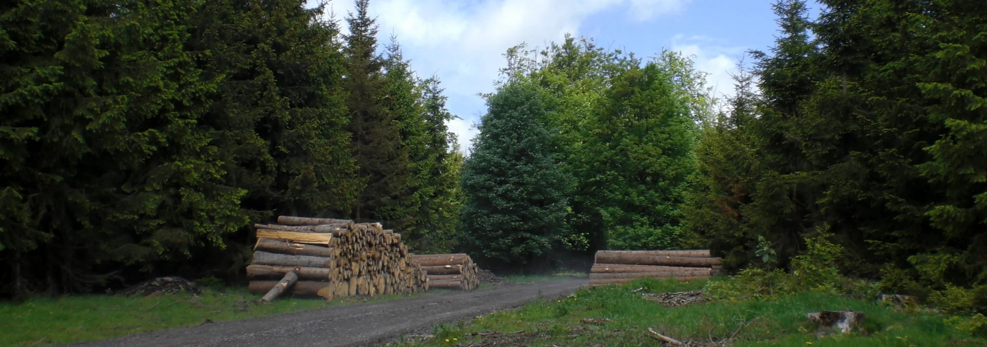 Bannerbild