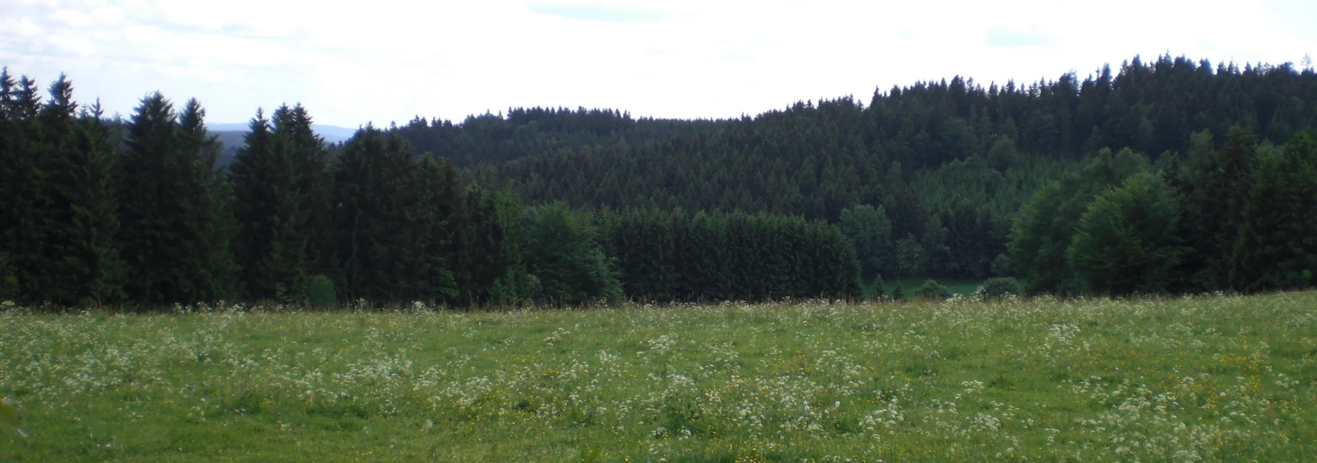 Bannerbild