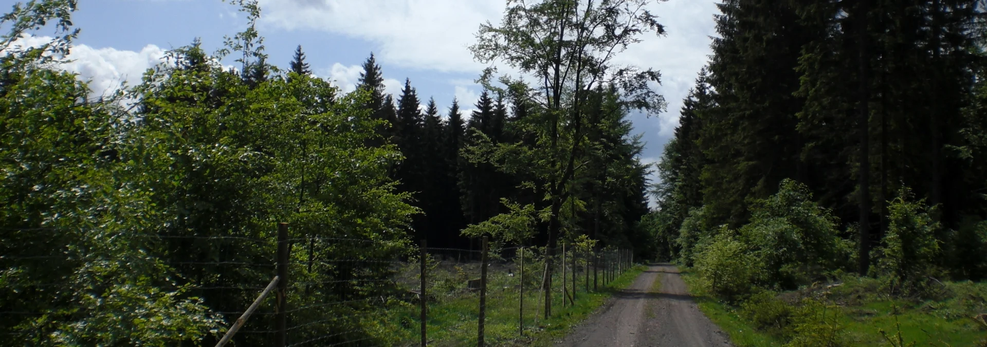 Bannerbild