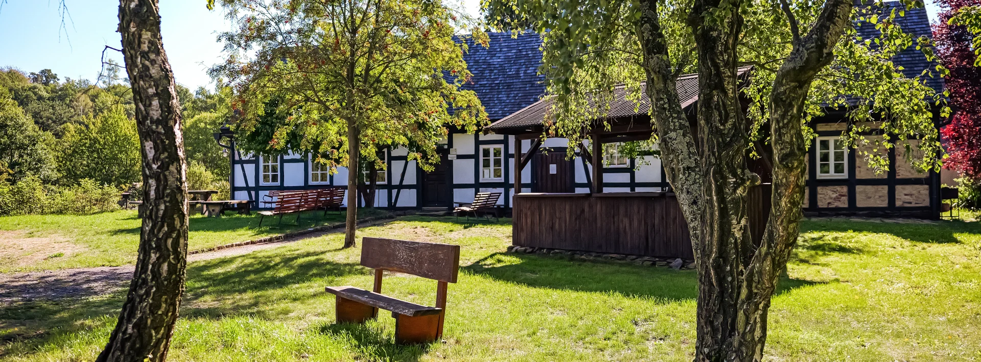 Bannerbild