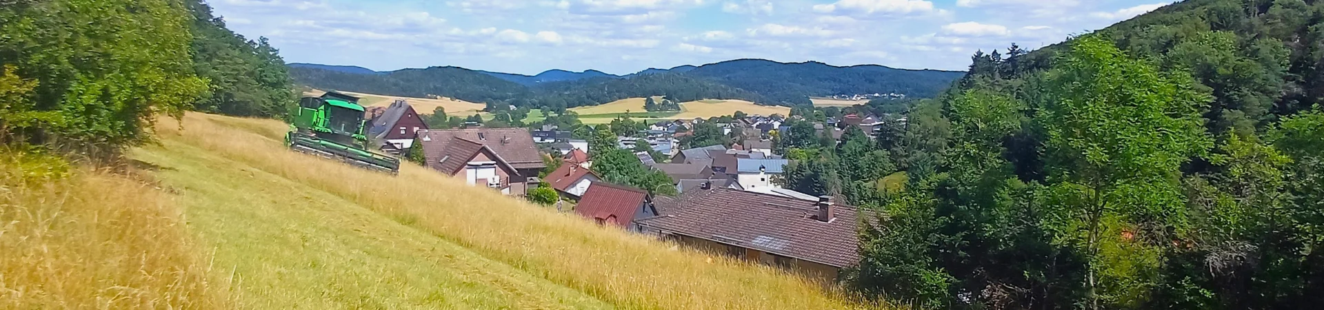 Bannerbild
