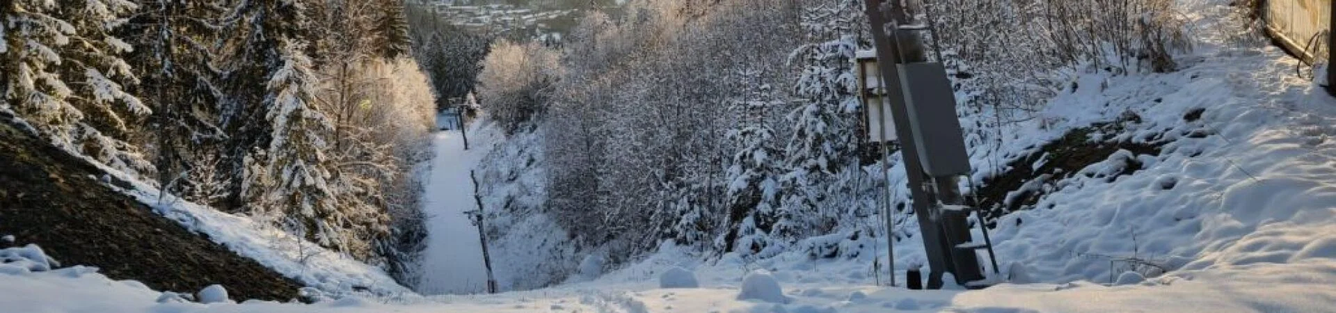 Bannerbild