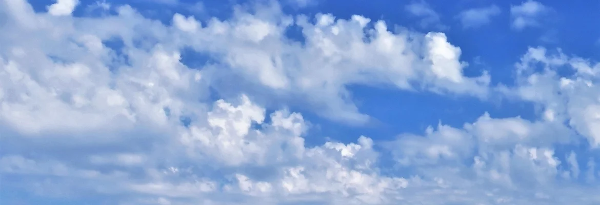 Bannerbild