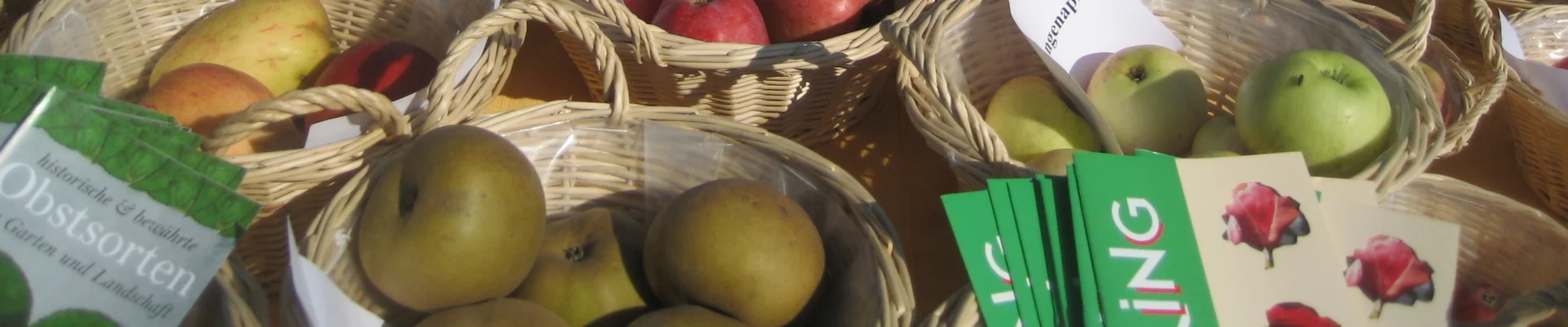 Bannerbild
