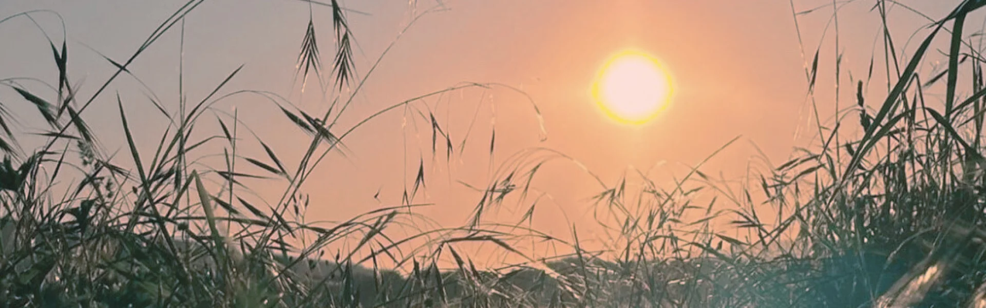 Bannerbild