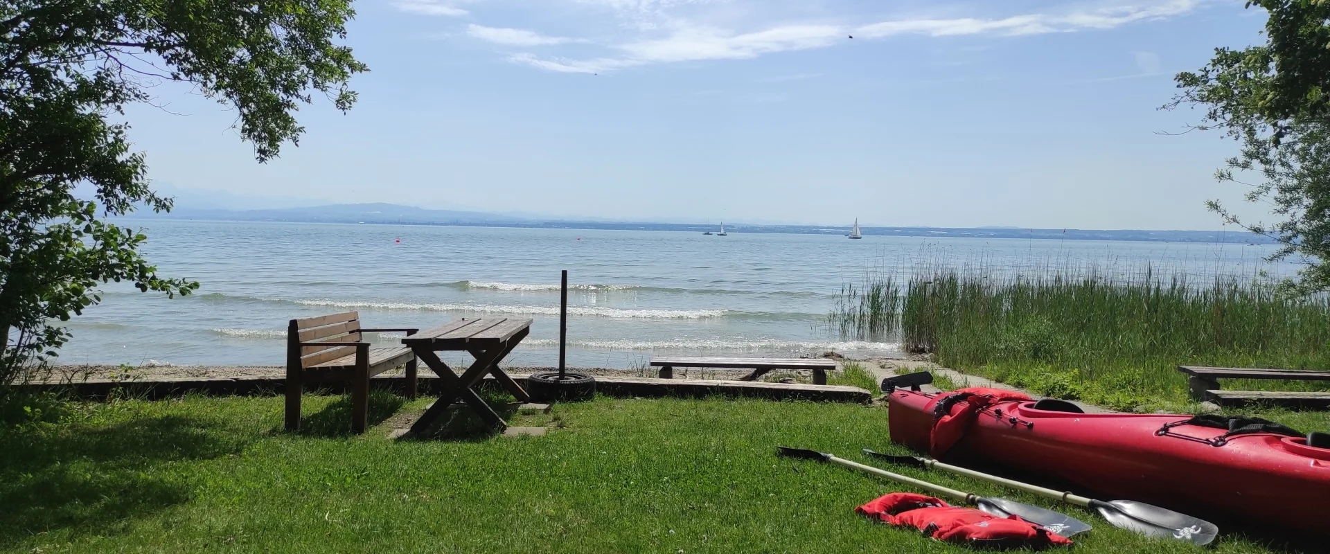 Bannerbild