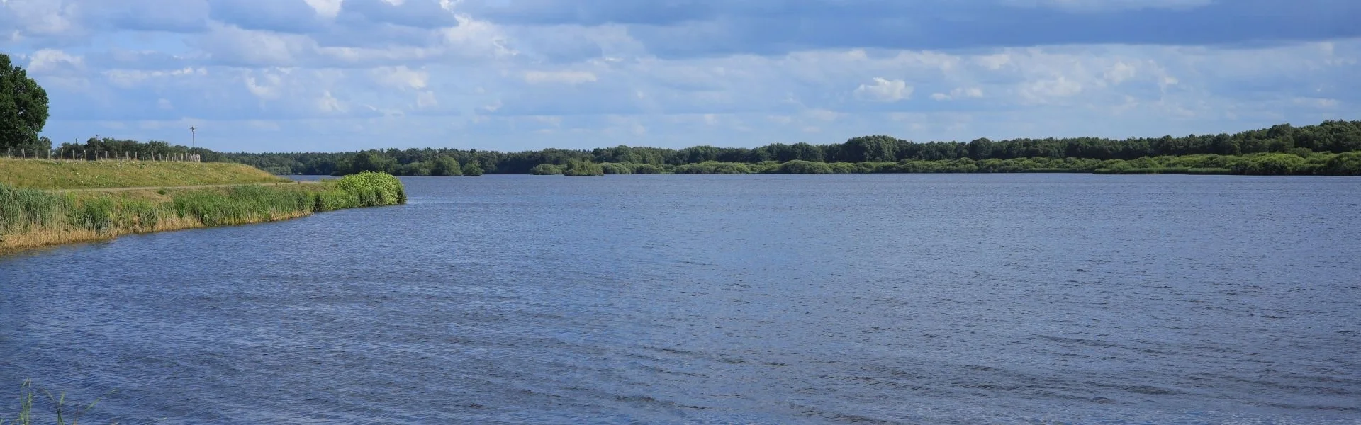 Bannerbild