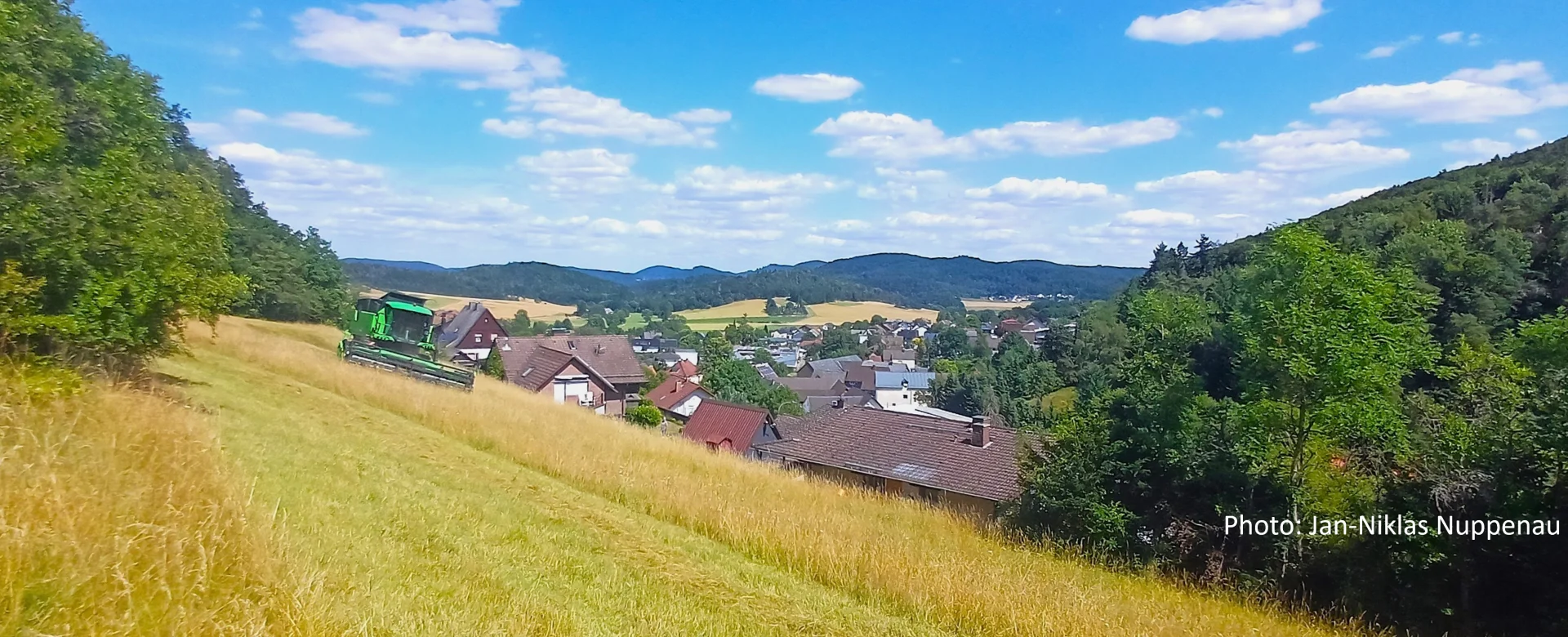 Bannerbild