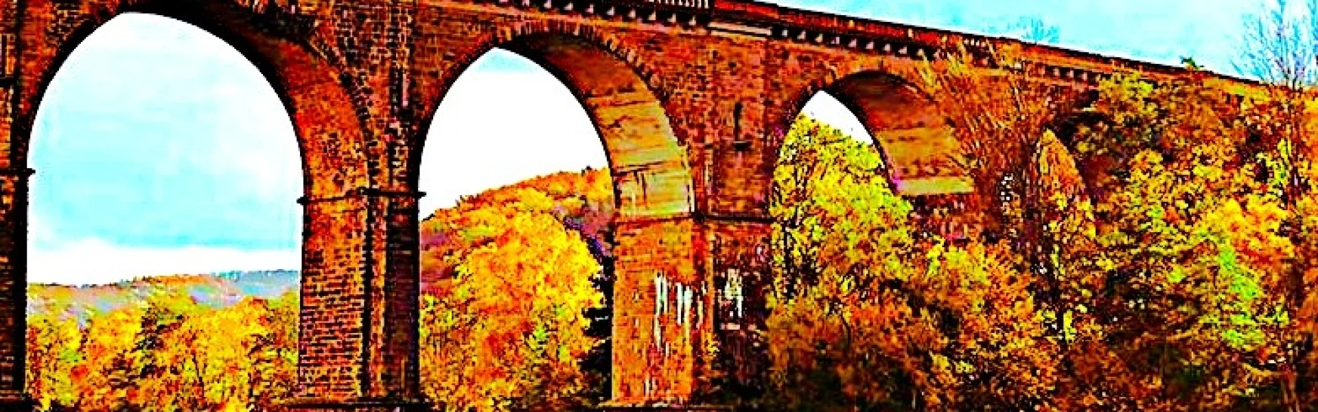 Bannerbild