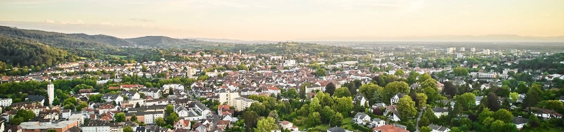 Bannerbild