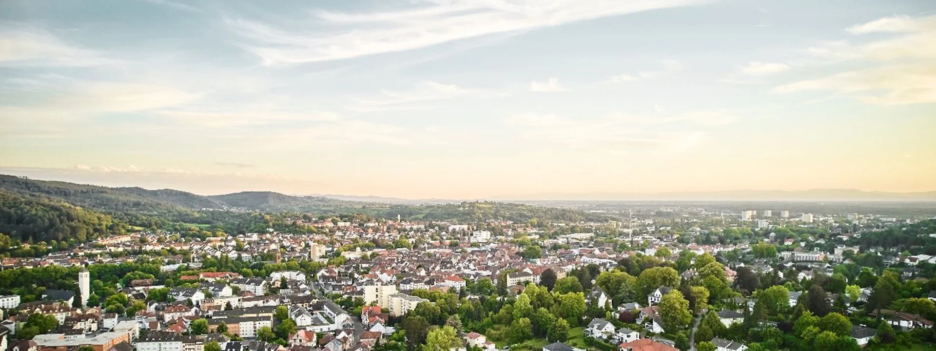 Bannerbild