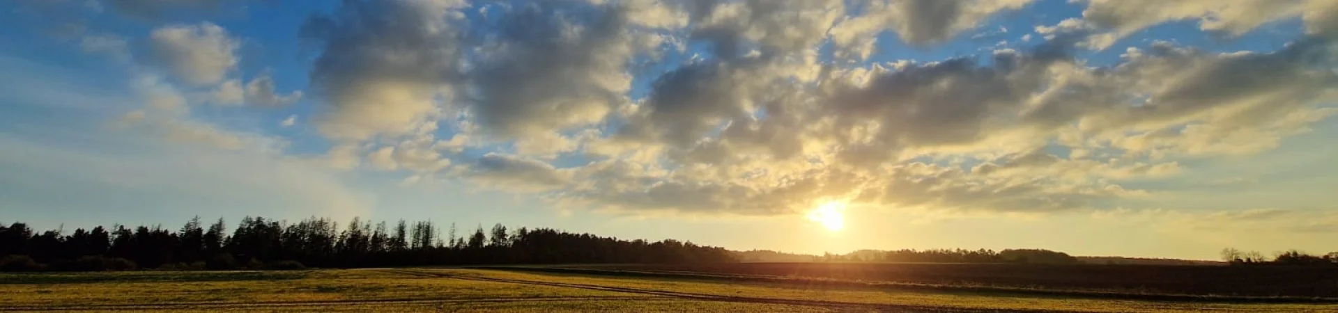 Sonne