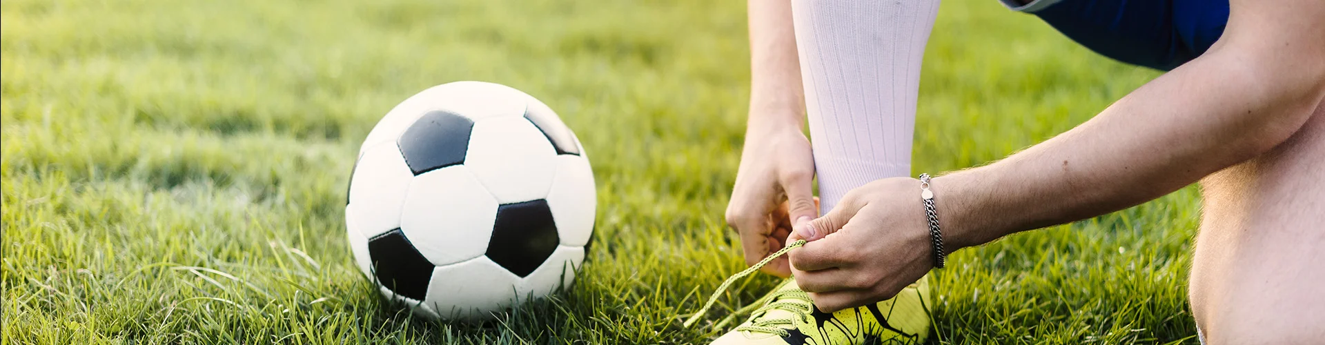 Bannerbild